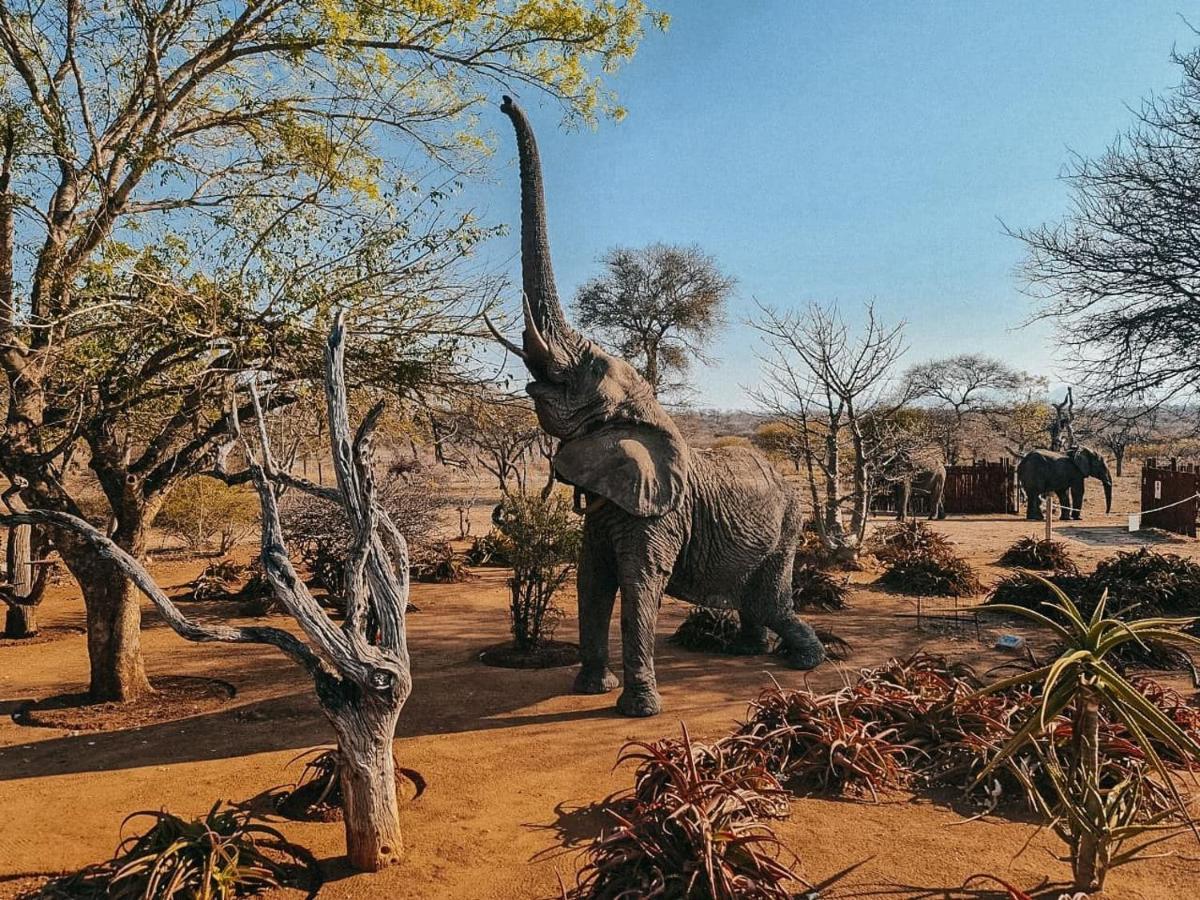 Tshukudu Game Lodge Hoedspruit Exterior photo