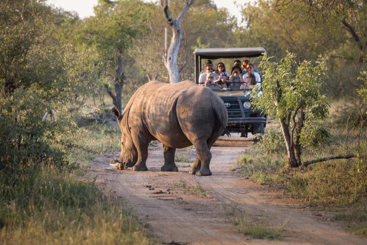 Tshukudu Game Lodge Hoedspruit Exterior photo